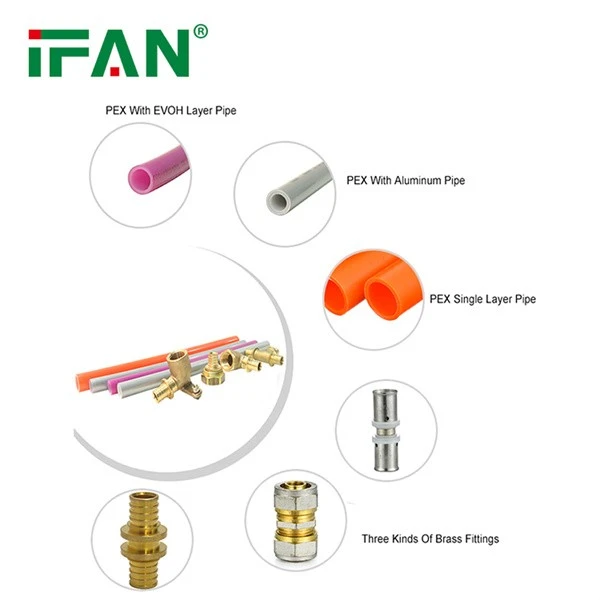 IFAN PEX